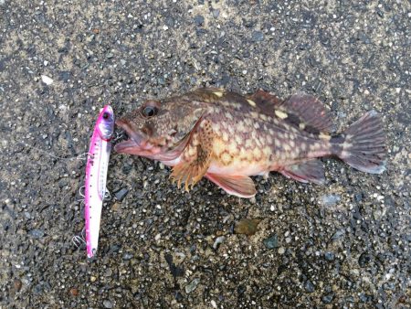 令和元年初日はポーアイで